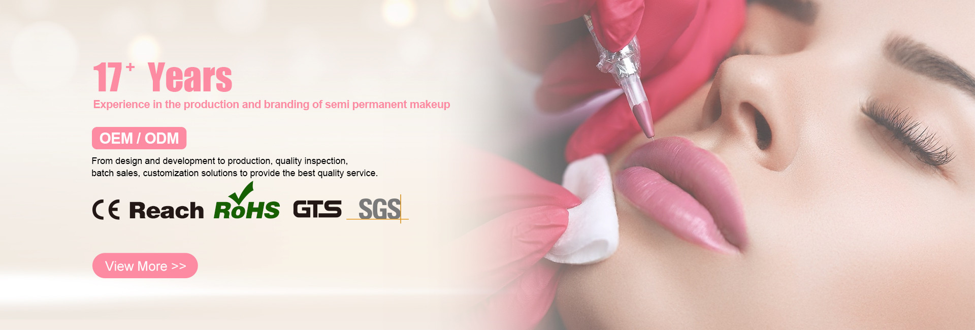 الجودة طقم وشم المكياج الدائم مصنع